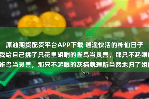 原油期货配资平台APP下载 逍遥快活的神仙日子 暮雪玄鸟白猫 重生前，我给自己挑了只花里胡哨的雀鸟当灵兽，那只不起眼的灰猫就理所当然地归了姐姐。