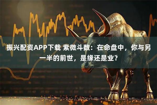 振兴配资APP下载 紫微斗数：在命盘中，你与另一半的前世，是缘还是业？