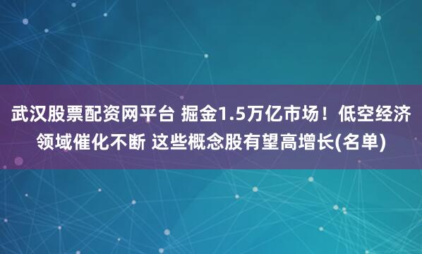 武汉股票配资网平台 掘金1.5万亿市场！低空经济领域催化不断 这些概念股有望高增长(名单)