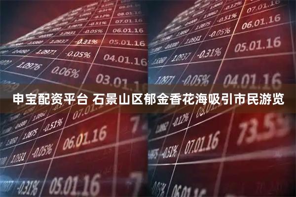 申宝配资平台 石景山区郁金香花海吸引市民游览